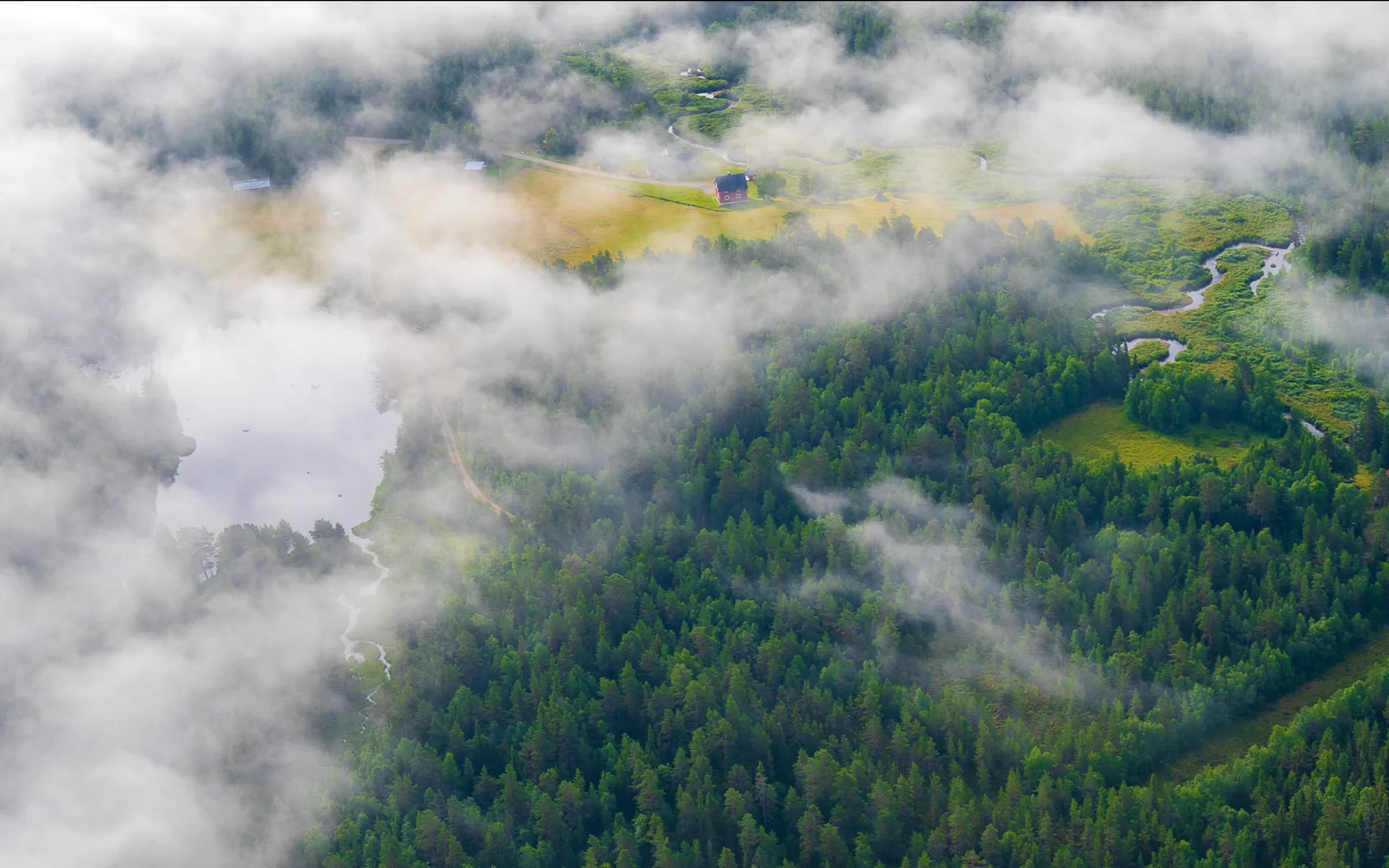 Skogs och moln från ovan