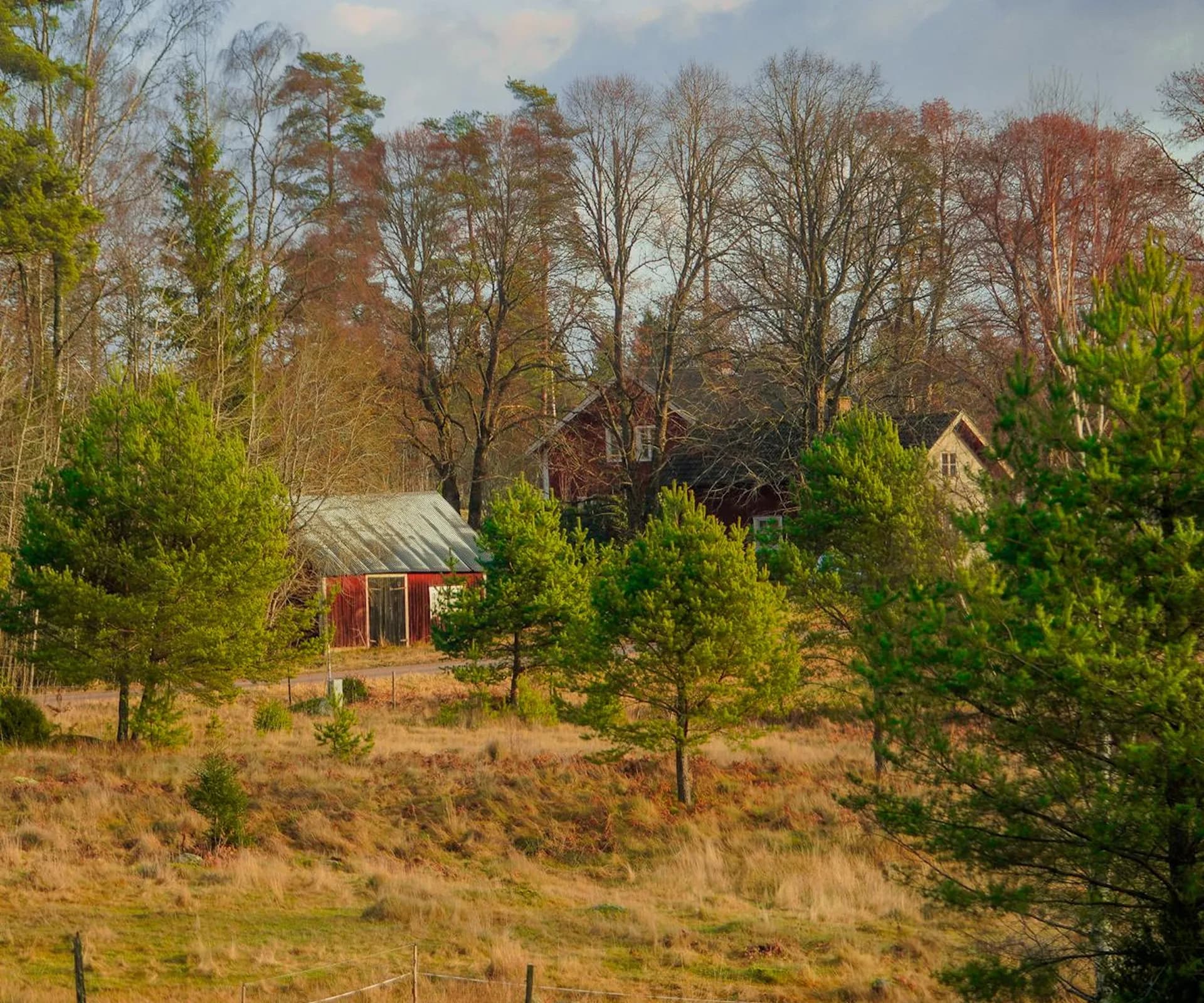 En rustik landskapsscen med en röd lada och ett trähus omgivet av träd och gräs under en molnig himmel.